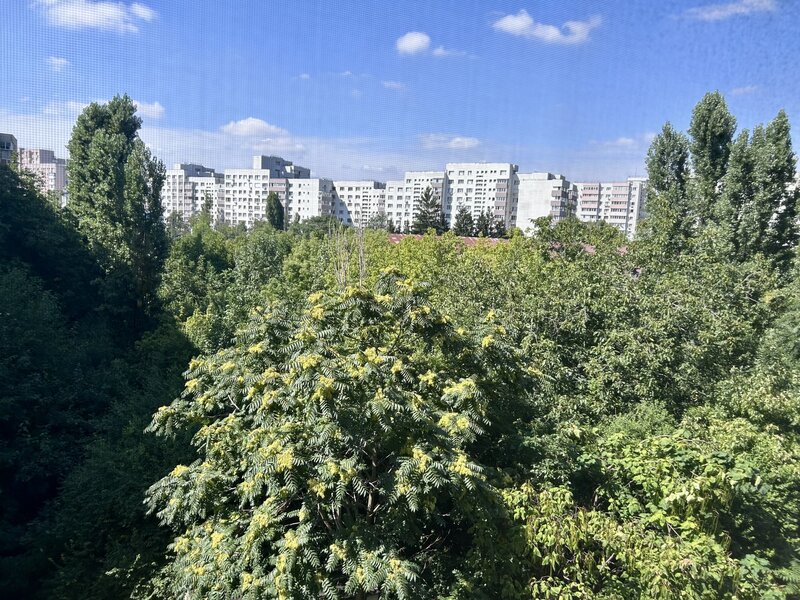 Piata Gorjului